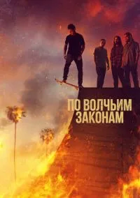 По волчьим законам (сериал 1,2,3,4,5,6 сезон) смотреть в хорошем качестве бесплатно
